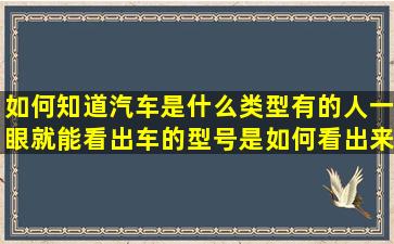 如何知道汽车是什么类型,有的人一眼就能看出车的型号,是如何看出来...