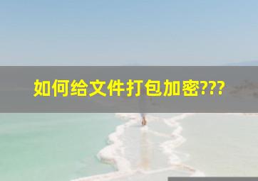 如何给文件打包加密???