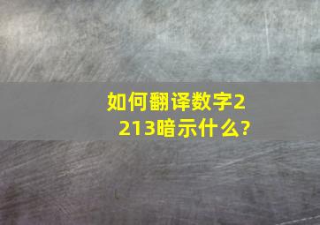 如何翻译数字2213,暗示什么?