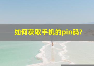 如何获取手机的pin码?