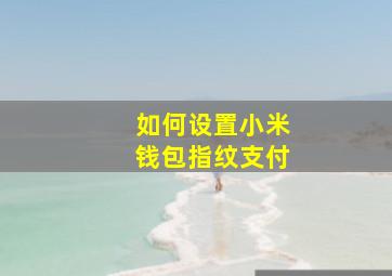 如何设置小米钱包指纹支付