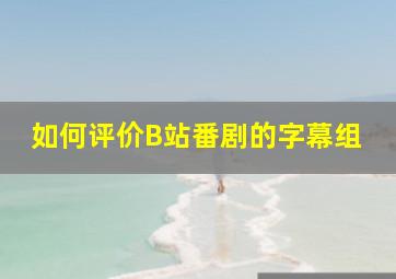 如何评价B站番剧的字幕组