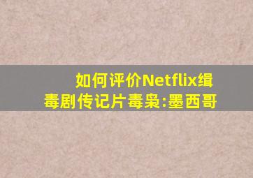 如何评价Netflix缉毒剧(传记片)《毒枭:墨西哥》 