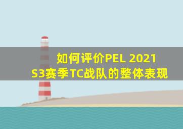 如何评价PEL 2021 S3赛季TC战队的整体表现 