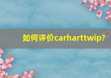 如何评价carharttwip?