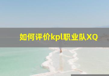 如何评价kpl职业队XQ