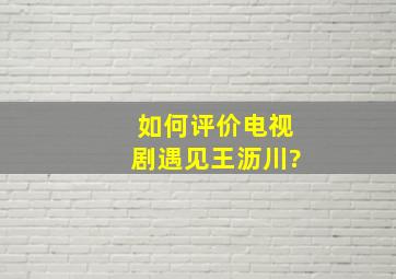 如何评价电视剧《遇见王沥川》?