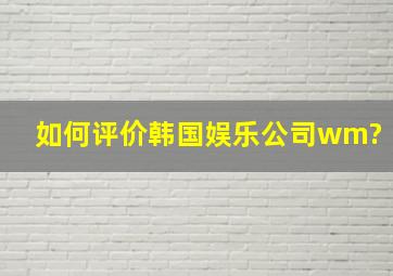 如何评价韩国娱乐公司wm?