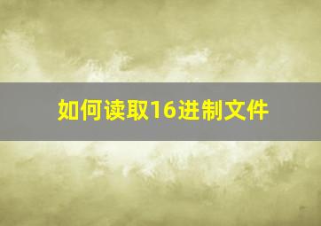 如何读取16进制文件