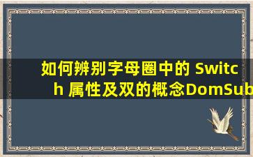 如何辨别字母圈中的 Switch 属性及双的概念DomSub