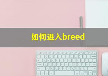 如何进入breed(