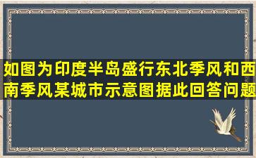 如图为印度半岛(盛行东北季风和西南季风)某城市示意图,据此回答问题...