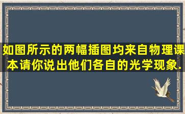 如图所示的两幅插图,均来自物理课本,请你说出他们各自的光学现象.甲...