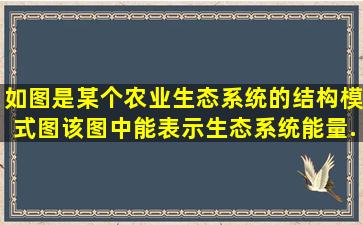 如图是某个农业生态系统的结构模式图,该图中能表示生态系统能量...