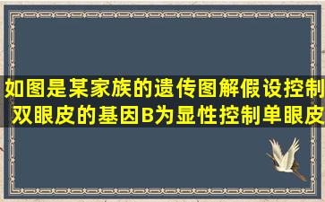 如图是某家族的遗传图解,假设控制双眼皮的基因(B)为显性,控制单眼皮...