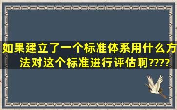 如果建立了一个标准体系,用什么方法对这个标准进行评估啊????! 如,...