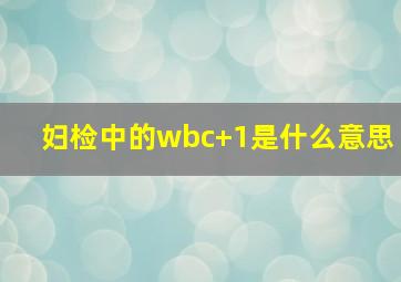 妇检中的wbc+1是什么意思