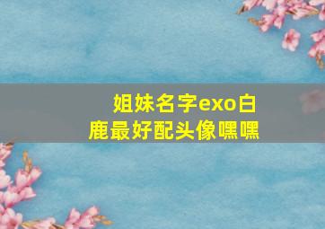 姐妹名字exo白鹿最好配头像嘿嘿