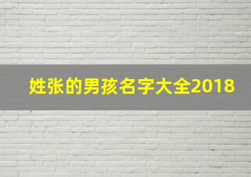 姓张的男孩名字大全2018