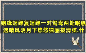 姻缘姻缘复姻缘,一对鸳鸯两处眠,纵遇晴风明月下,悠悠独骊拔清弦.什么...