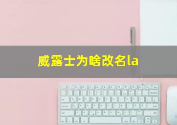 威露士为啥改名la