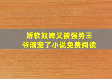 娇软奴婢又被强势王爷溺宠了小说免费阅读