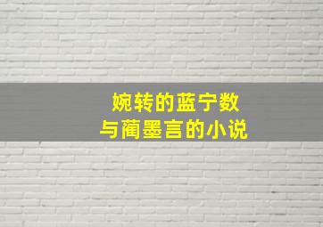 婉转的蓝宁数与蔺墨言的小说