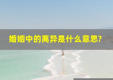 婚姻中的离异是什么意思?