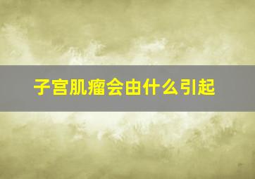 子宫肌瘤会由什么引起