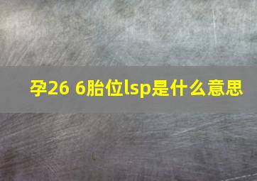 孕26 6胎位lsp是什么意思