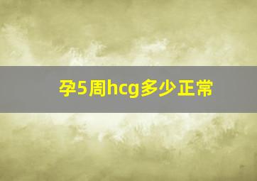 孕5周hcg多少正常