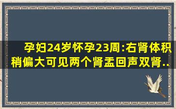 孕妇24岁怀孕23周:右肾体积稍偏大可见两个肾盂回声双肾..