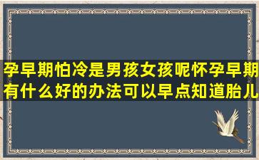 孕早期怕冷是男孩女孩呢,怀孕早期有什么好的办法可以早点知道胎儿...