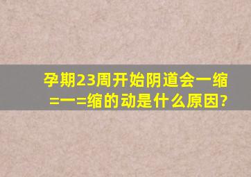 孕期23周开始阴道会一缩=一=缩的动是什么原因?