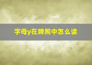 字母y在牌照中怎么读