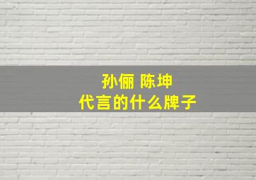 孙俪 陈坤 代言的什么牌子