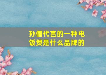 孙俪代言的一种电饭煲是什么品牌的