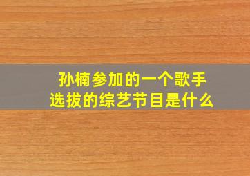 孙楠参加的一个歌手选拔的综艺节目是什么