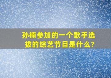 孙楠参加的一个歌手选拔的综艺节目是什么?