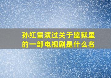 孙红雷演过关于监狱里的一部电视剧是什么名