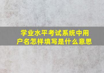 学业水平考试系统中用户名怎样填写,是什么意思