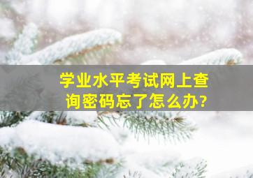 学业水平考试网上查询,密码忘了怎么办?