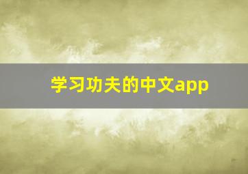 学习功夫的中文app。