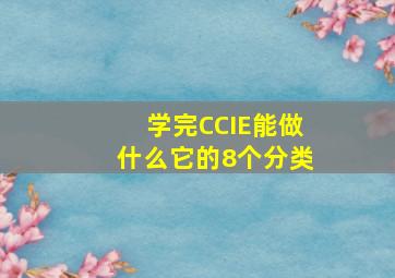 学完CCIE能做什么它的8个分类(