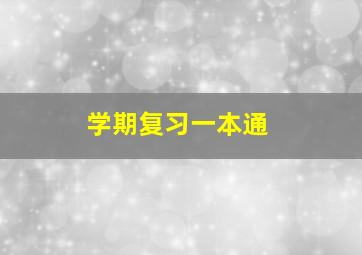 学期复习一本通