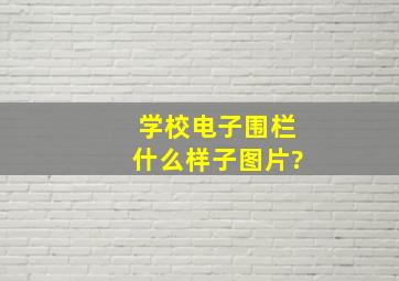 学校电子围栏什么样子图片?