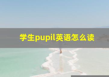 学生pupil英语怎么读(