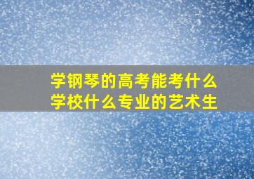 学钢琴的高考能考什么学校什么专业的艺术生