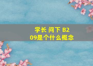 学长 问下 B209是个什么概念