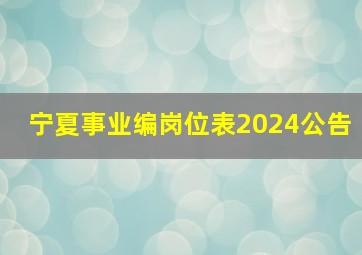 宁夏事业编岗位表2024公告